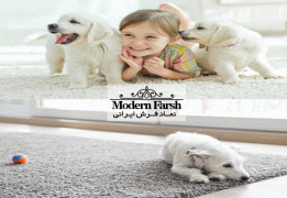 بهترین نوع فرش برای حیوانات خانگی